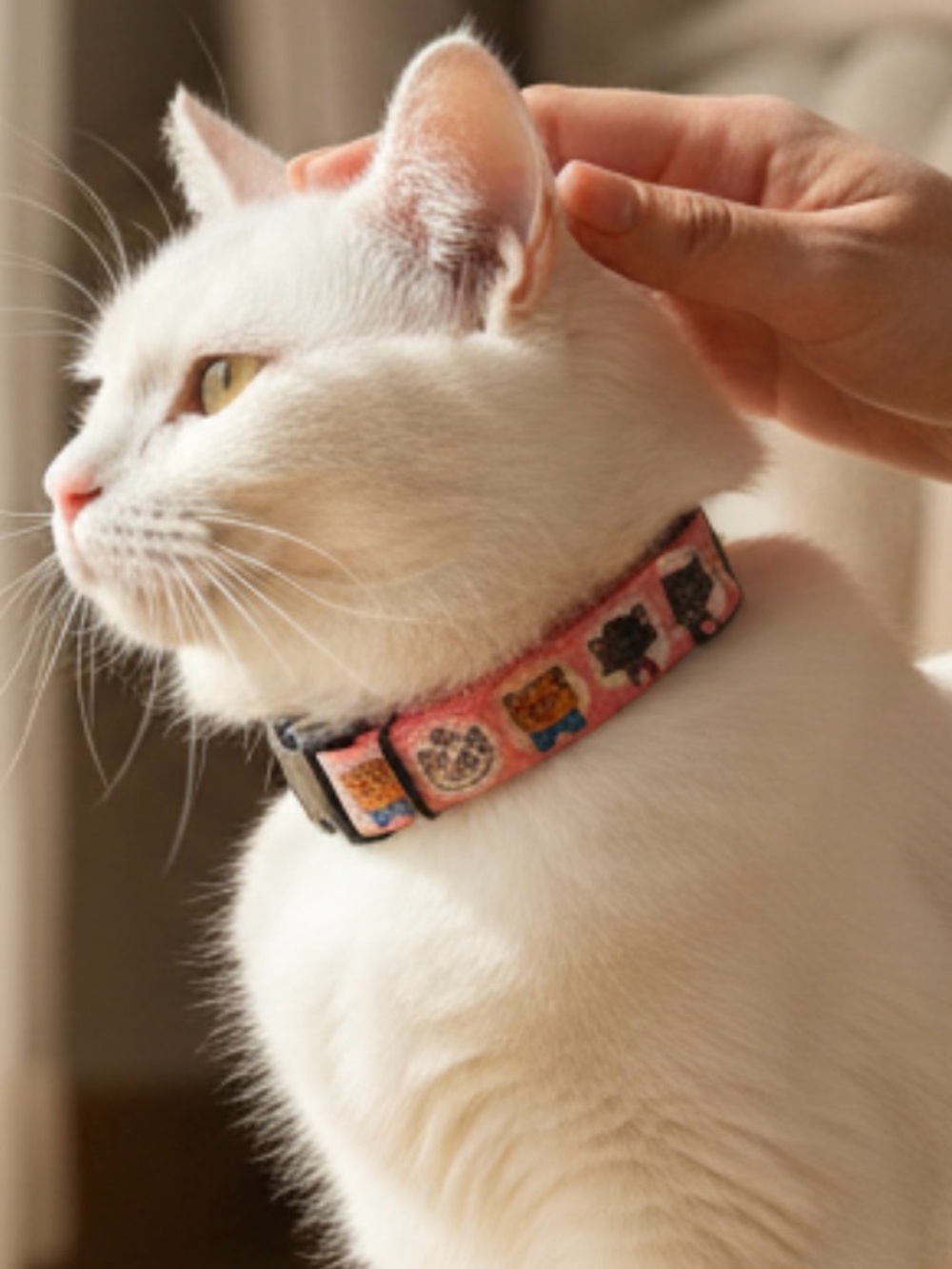 SassyMeow/Disney The Aristocats Breakaway Adjustable Cat Collar Pink M